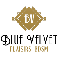 logo-blue-velvet