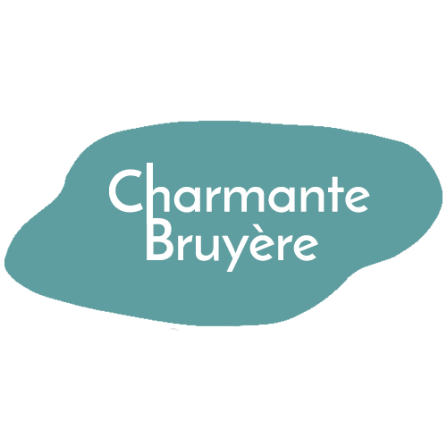 gite-charmante-bruyere